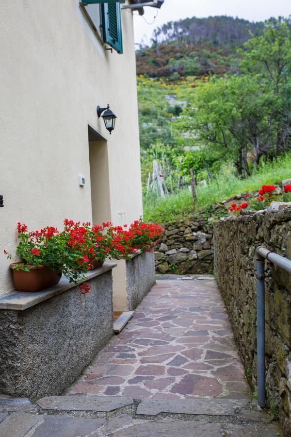 Casa Vacanze Tra Le Mura ليفانتو المظهر الخارجي الصورة