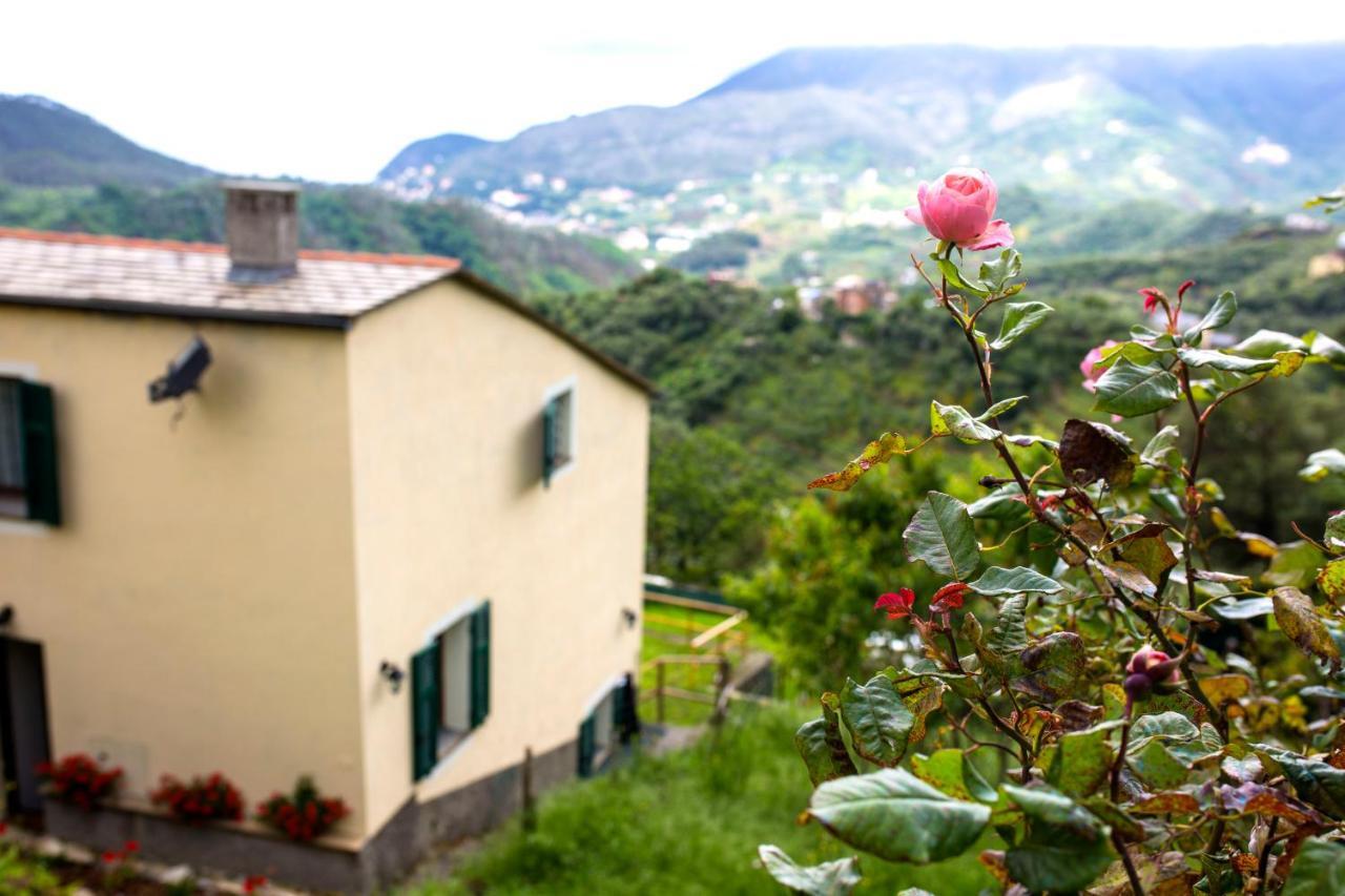 Casa Vacanze Tra Le Mura ليفانتو المظهر الخارجي الصورة